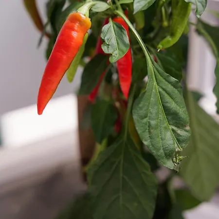 Wohnen Im Zentrum 1 Lindlar